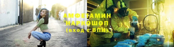 мдпв Богородицк