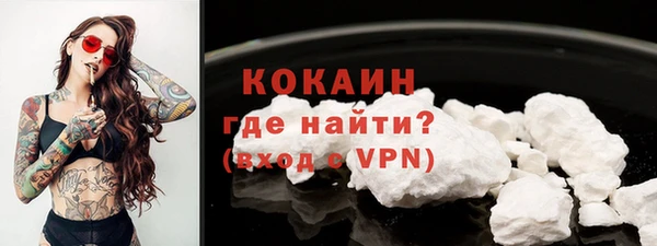 мдпв Богородицк