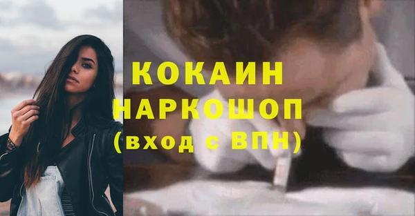 мдпв Богородицк