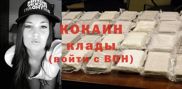 мдпв Богородицк
