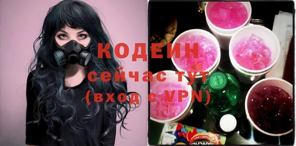 мдпв Богородицк