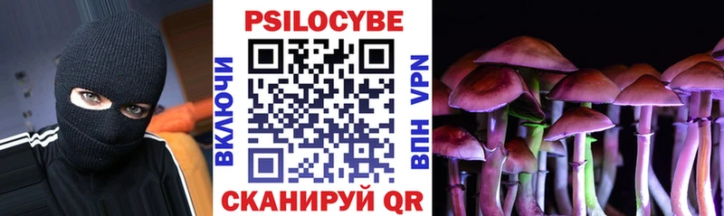 Псилоцибиновые грибы Psilocybe  Чернушка 